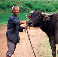小型飼料顆粒機(jī),農(nóng)民圓夢(mèng)！
